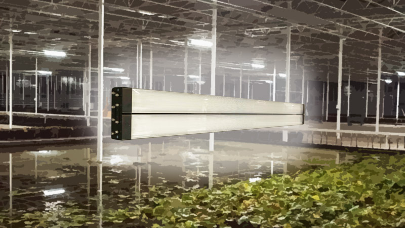 SunLike Series Natural Spectrum LEDs Adopted for Horticulture LED Lighting