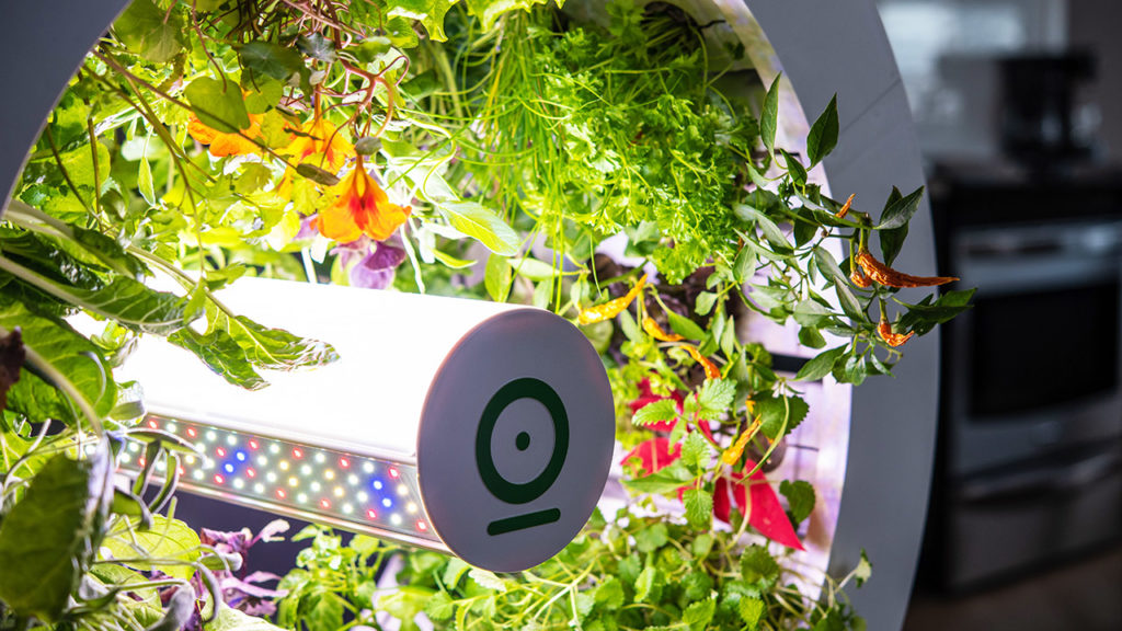 OGarden Smart: Indoor Garden Grows 90 Fruits and Veggies at Once