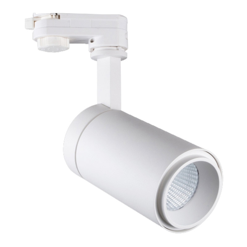 Milled 30W LED Ray Spot