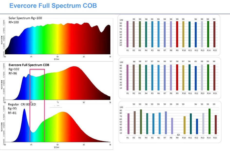 https://www.aydinlatma.org/wp-content/uploads/2020/01/Evercore-Full-Spectrum-COB-LED.png